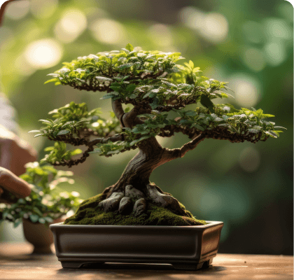 Unique Wealth Strategies holistic approach